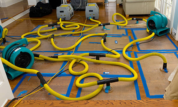 Professional Flood Damage Restoration technician working in Dalbo, MN